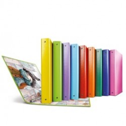 Raccoglitore Raggio Sogni 4 anelli R diam. 30mm Sei Rota colori assortiti