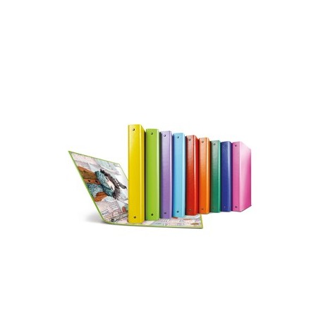 Raccoglitore Raggio Sogni 4 anelli R diam. 30mm Sei Rota colori assortiti