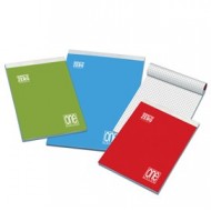 Box 12 blocchi notes PM f.to A4 60gr 60fg 5mm Blasetti
