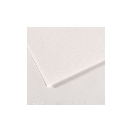 Foglio MI-TEINTES A4 cm 160 gr. 335 bianco