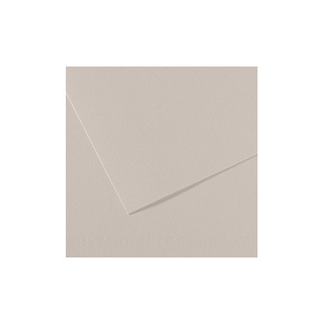 Foglio MI-TEINTES A4 cm 160 gr. 120 grigio perla