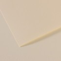 Foglio MI-TEINTES A4 cm 160 gr. 110 giglio