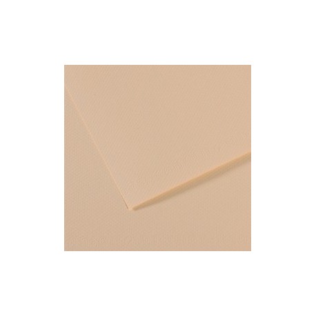 Foglio MI-TEINTES A4 cm 160 gr. 112 conchiglia