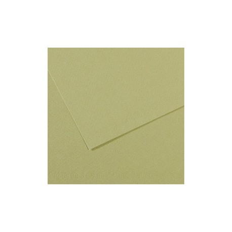 Foglio MI-TEINTES A4 160 gr. 480 verde mandorla