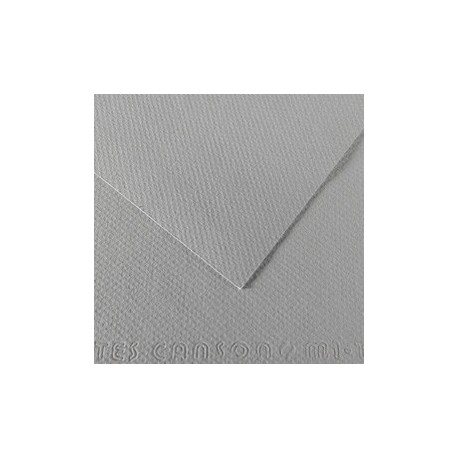 Foglio MI-TEINTES A4 cm 160 gr. 122 grigio flanella