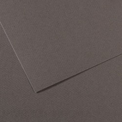 Foglio MI-TEINTES A4 cm 160 gr. 345 grigio ardesia