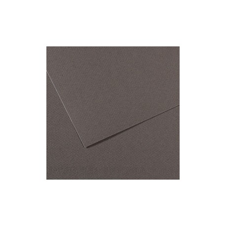 Foglio MI-TEINTES A4 cm 160 gr. 345 grigio ardesia