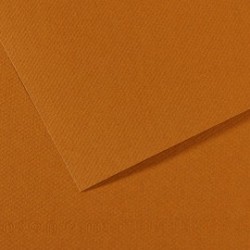 Foglio MI-TEINTES A4 cm 160 gr. 502 avana chiaro