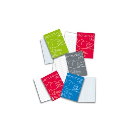 Fogli protocollo A4 Quaxima 4mm 30fg 80gr Pigna