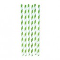12 cannucce Stripes in carta verde/bianco Big Party