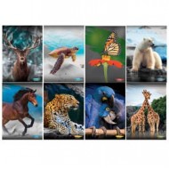 Maxiquaderno A4 20fg+1 80gr rigo di 1a Animal 2022 Blasetti
