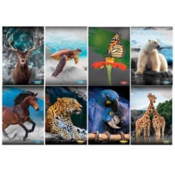Maxiquaderno A4 20fg+1 80gr rigo di 3a Animal 2022 Blasetti