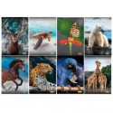 Maxiquaderno A4 20fg+1 80gr 1 rigo c/margine Animal 2022 Blasetti