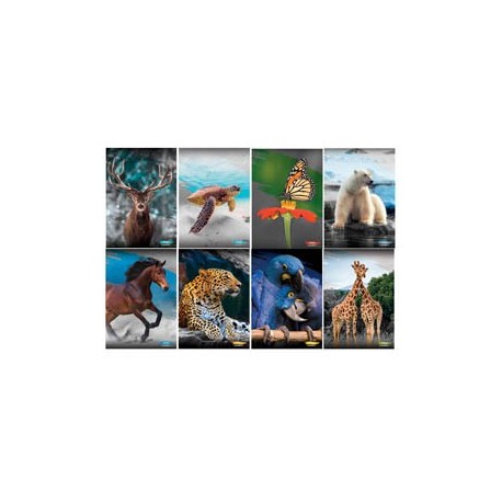 Maxiquaderno A4 20fg+1 80gr 5mm c/margine Animal 2022 Blasetti