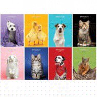Maxiquaderno A4 20fg+1 80gr rigo di 3a Pet Color 2022 Blasetti