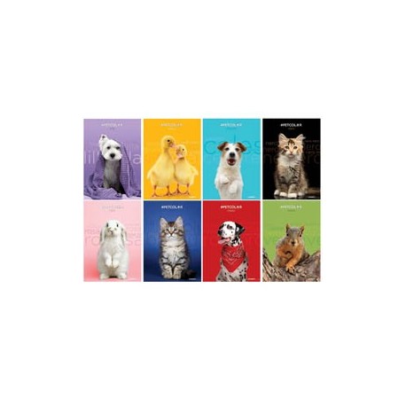 Maxiquaderno A4 20fg+1 80gr 4mm c/margine Pet Color 2022 Blasetti