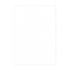 100 Copertine A4 cartoncino groffrato semilpelle 240g bianco Fellowes