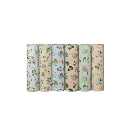 Scatola 100fg Ecocarta regalo Botanica 70X100cm Rex Sadoch
