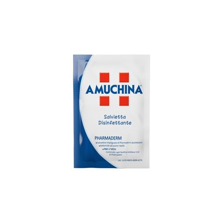 200 Salviette disinfettanti Pharmaderm Amuchina