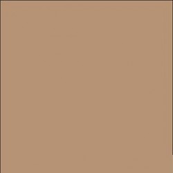 500 Cartine antigrasso per alimenti color avana 20x35cm Leone