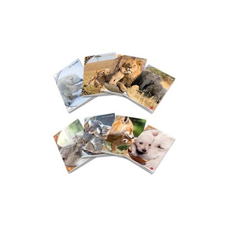 Maxiquaderno A4 80gr 40+2fg rigo di 3a Dolci Cuccioli Pigna
