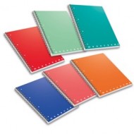 Maxiquaderno spiralato A5 s/fori 1 rigo 70fg 80gr Monocromo