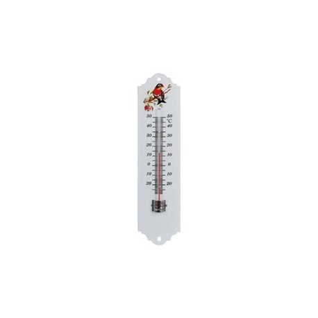Termometro indoor/outdoor in metallo 20cm Velamp